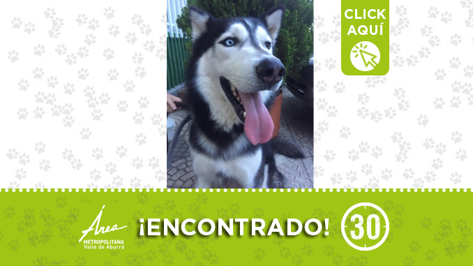 encontrado23
