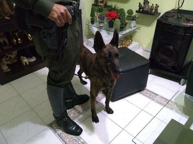 VIDEO Y FOTOS: Así operaba 'La 24', la banda que le vendía droga a cerca de 2.000 'clientes' diarios 15 Así operaba 'La 24', la banda desmantelada en Barrio Antioquia