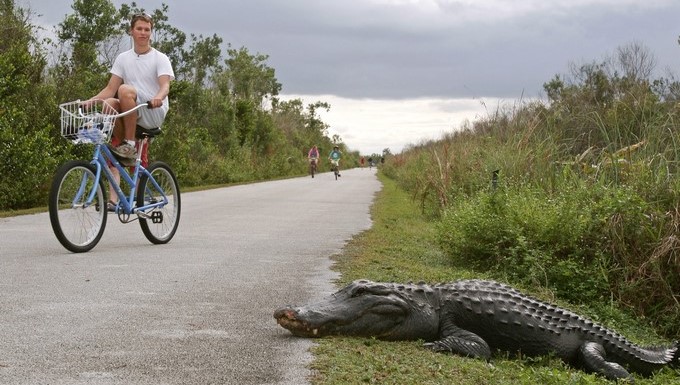 Con solo 3,9 centímetros de lluvia, la ciudad costera de Miami sufrió en el primer trimestre del año su segunda mayor sequía desde que hay registro, en 1895. EFE/Archivo