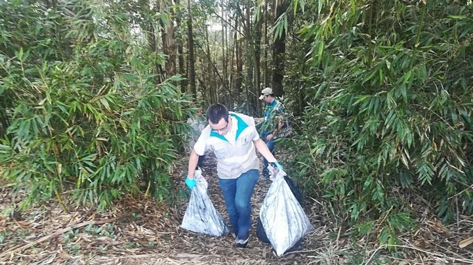 operativo palmas
