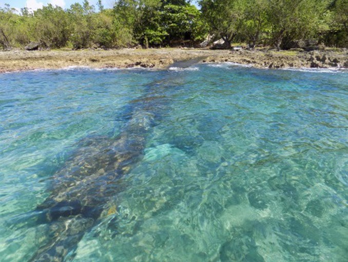 Graves problemas de contaminación y amenaza de emergencia sanitaria afectan a San Andrés: Contraloría