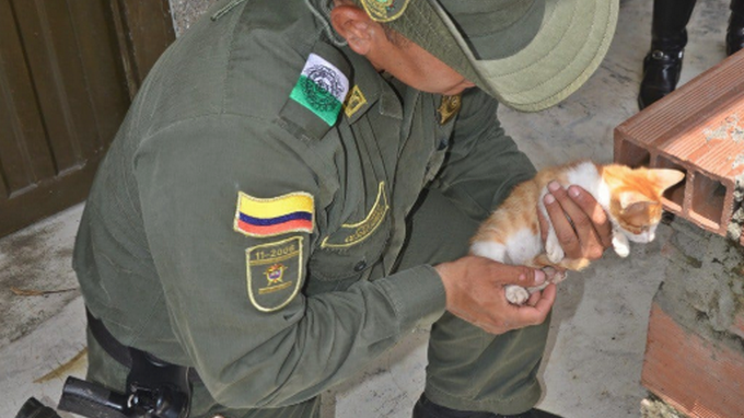 Las mascotas también están siendo atendidas tras lo ocurrido en Hidroituango