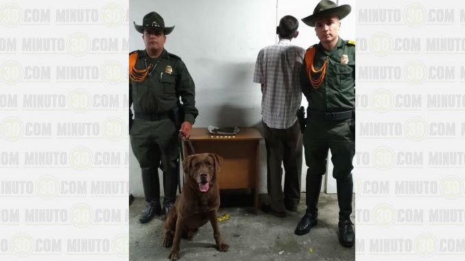 La Unidad Canina “Rocko” le detectó los estupefacientes