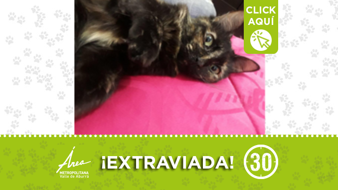 EXTRAVIADA1