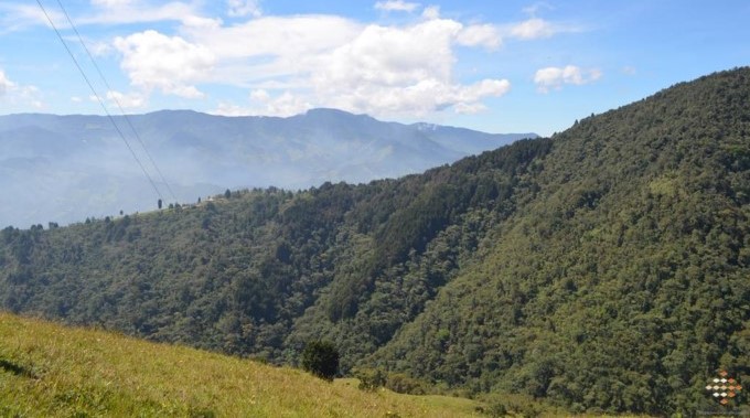 La Estrella busca ampliar sus zonas verdes