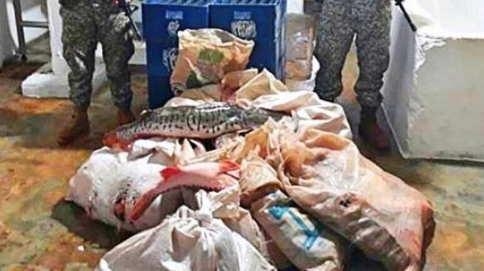 Alimentos de contrabando en el Vichada