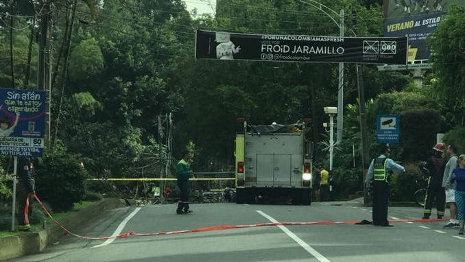 Reportan congestión en la Transversal Superior por caída de árbol y poste
