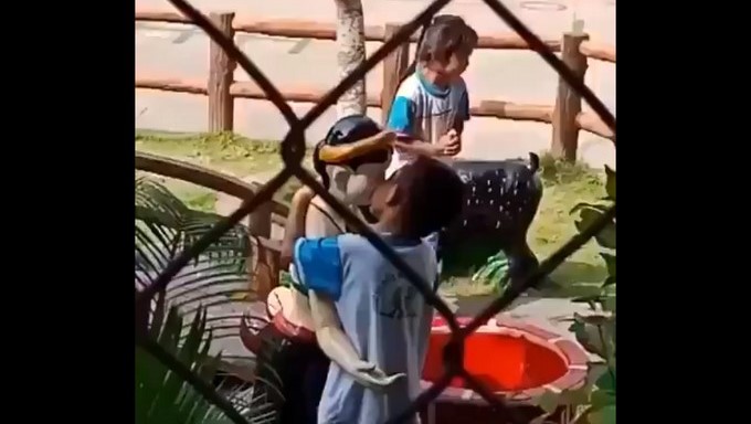 Captura tomada de Facebook: New-noticia-virals