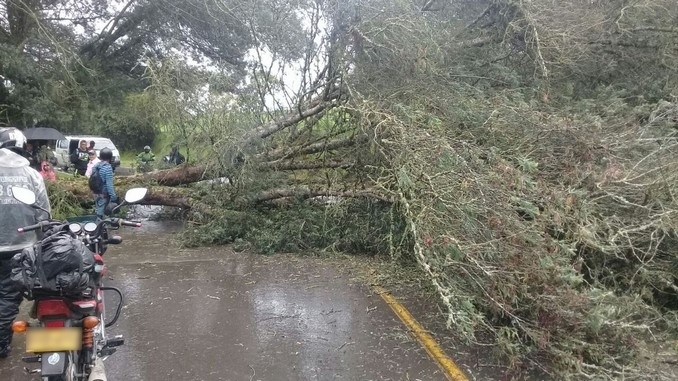 Caída de árboles y derrumbes afectados dos vías del Oriente antioqueño