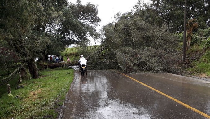 Caída de árboles y derrumbes afectados dos vías del Oriente antioqueño
