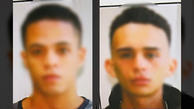 Enviaron a la cárcel a dos hombres por tener armas y cultivar marihuana en inmuebles de la Comuna 13