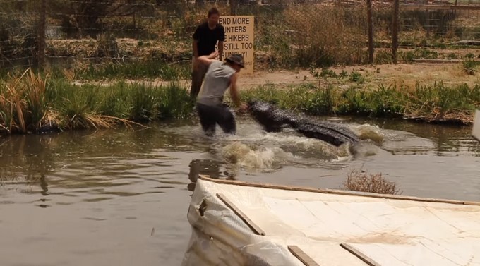 Youtube: Wild Charles