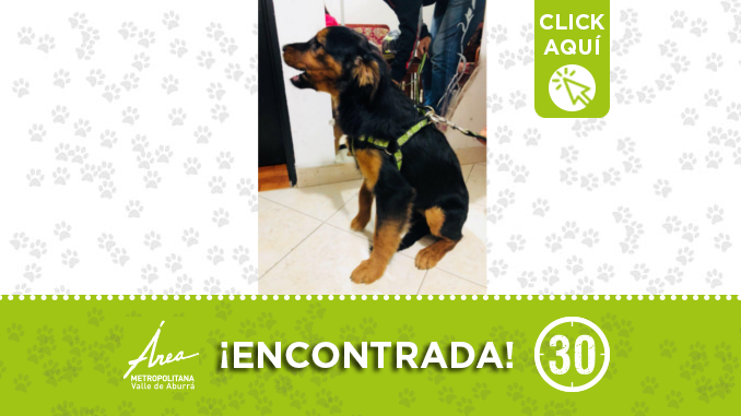encontrada17