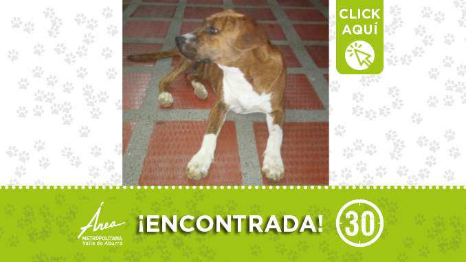 encontrada18