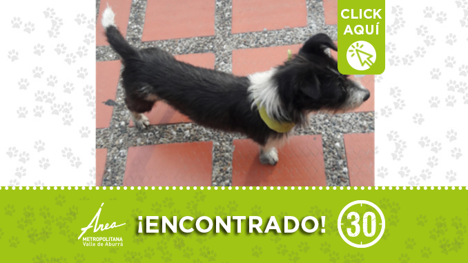 encontrado28