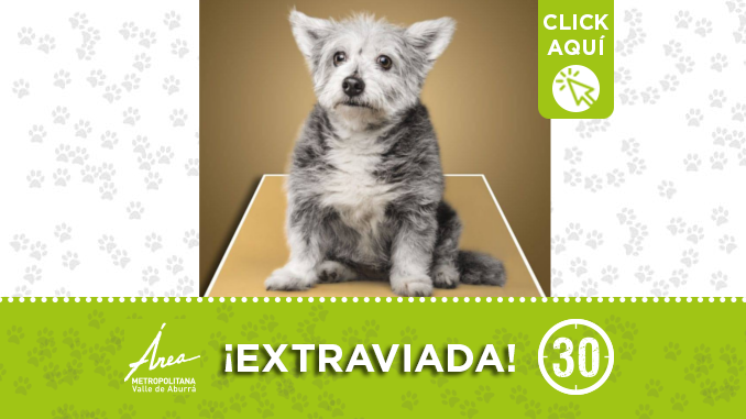 extraviada30