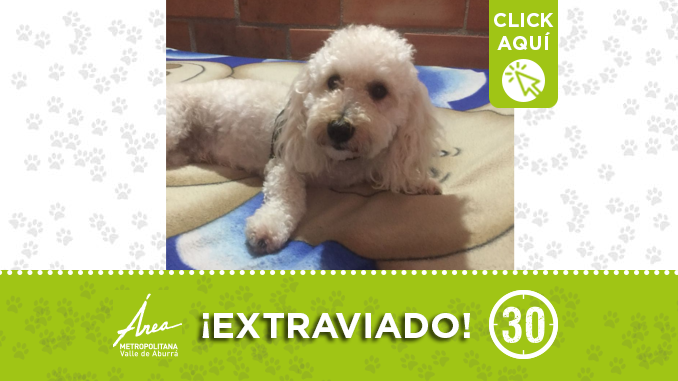 extraviado