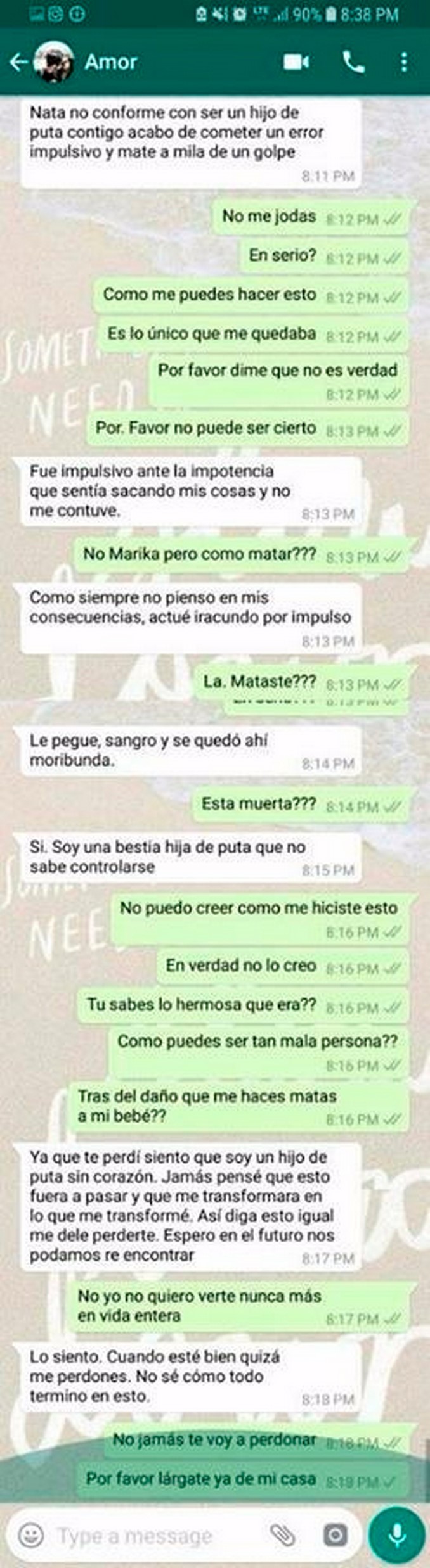 El triste final de 'Milagros', la gatica asesinada por su dueño en medio de un ataque de celos