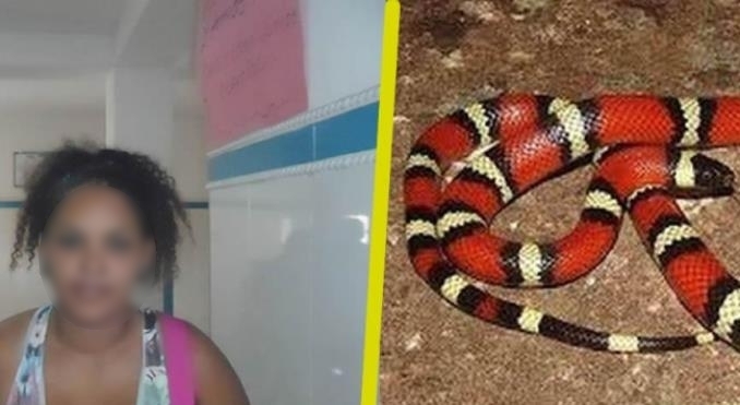 Tremendo susto se llevó una mujer al notar que dormía con una coral en La Guajira