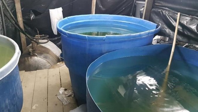 Destruyeron gigantesco laboratorio para producir cocaína en el Cauca