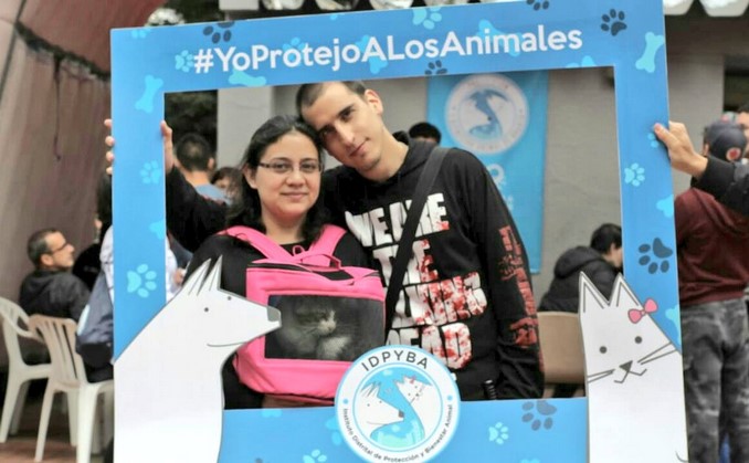 75 mascotas encontraron hogar durante jornada de 'Adoptatón' en Bogotá