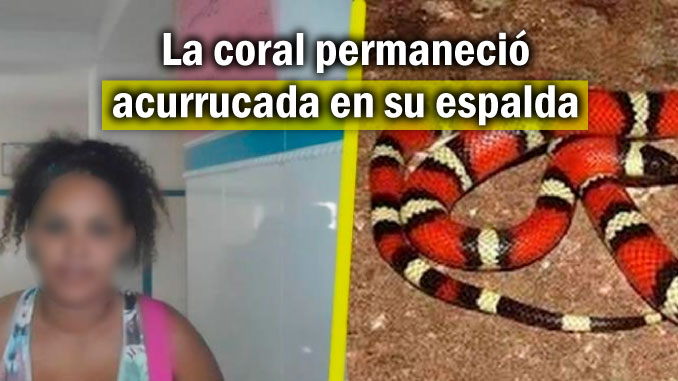 Tremendo susto se llevó una mujer al notar que dormía con una coral en La Guajira