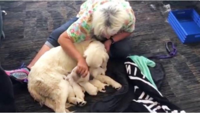 Foto propiedad de: Tomada de Video