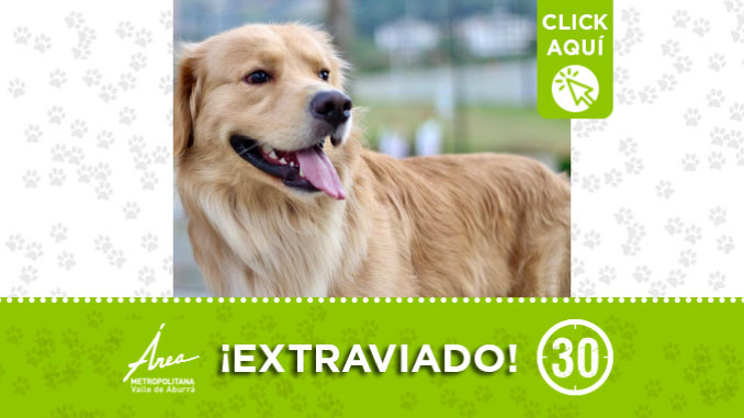 ‘Tomás’ se perdió por el sector de las Cometas en Niquía