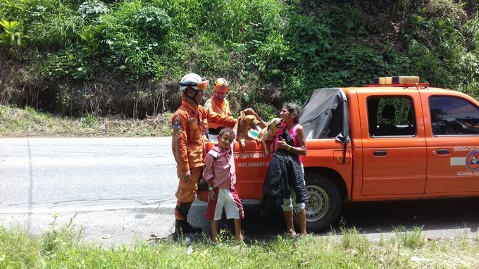La Defensa Civil hace censo y rescate de mascotas en el Bajo Cauca antioqueño
