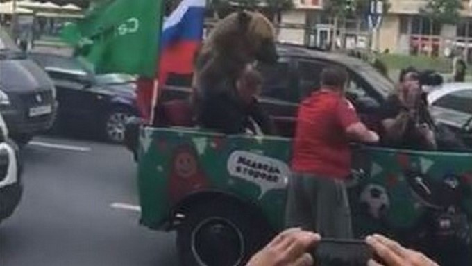 Video causa indignación por “maltrato animal” en medio del Mundial de Rusia