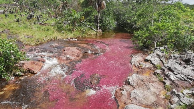 Extranjeros y propios visitaron Caño Cristales durante su apertura