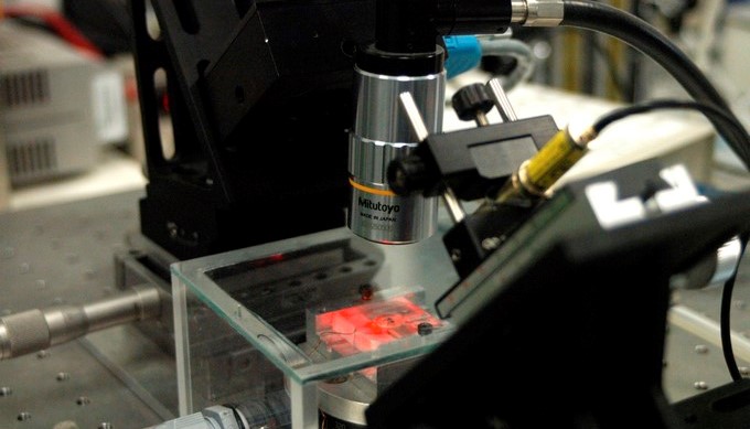 investigacion ciencia microscopio Copiar