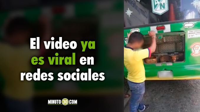 ¿Perrito viajaba en el baúl de un bus? Denuncian aparente caso de maltrato animal en Bucaramanga