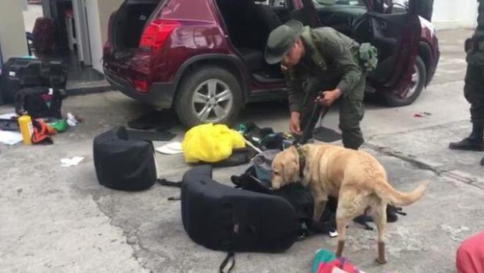 Con ayuda de canino la Policía detectó heroína que estaba escondida en un vehículo en Tumaco