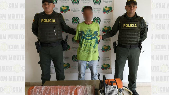 Lo cogieron cuando pretendía robarse una motosierra 2 Ladron