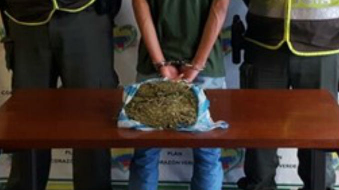 En el barrio Nuevo Amanecer fue capturado un hombre con un kilo de marihuana en su poder 1 Marihuana