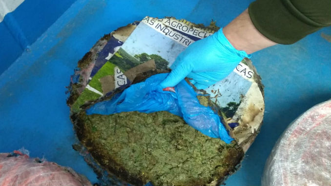 FOTOS: De Cali a Envigado enviaron marihuana en encomienda 3 Marihuana_2