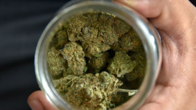 Salió corriendo cuando vio a la Policía, pero se le cayó un "paquetico" con droga 1 Marihuana_EFE