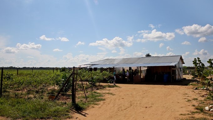 Restitución de tierras en Colombia es un “ejemplo a seguir”, según un experto