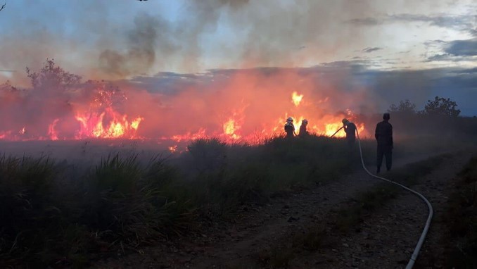 Siguen las labores para controlar el incendio forestal en Nilo, Cundinamarca