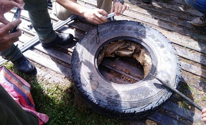 En llantas, así llevaban escondidos 89 kilos de base de coca en San José del Guaviare