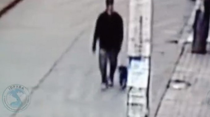 La lanzó por los aires. Denuncian lamentable caso de maltrato animal en Bogotá