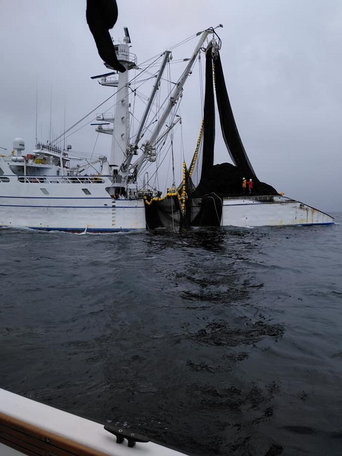 Denuncian que barco de bandera panameña estaría pescando ilegalmente frente a Bahía Solano