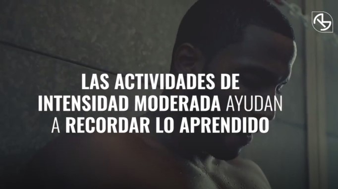 EN VIDEO: Sencillos trucos para mejorar la memoria