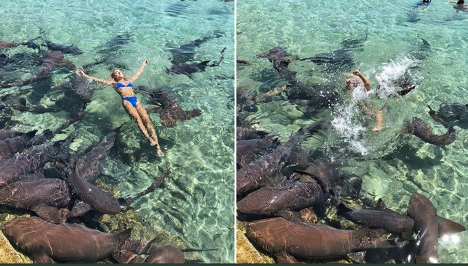 Captura tomada de Twitter: @raulbrindis