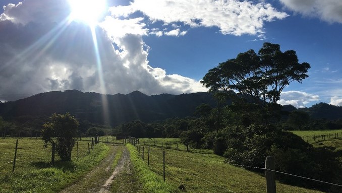 Recuperaron más de 23 mil hectáreas de predios que le pertenecían al Bloque Centauros de las Auc