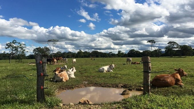 Recuperaron más de 23 mil hectáreas de predios que le pertenecían al Bloque Centauros de las Auc