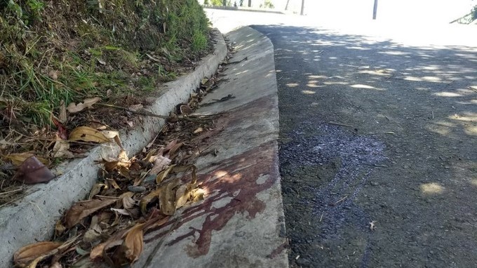 FOTOS: Habrían sido 35 puñaladas las que acabaron con la vida de un hombre en Envigado 4 Asesinado en via Catedral Envigado 3