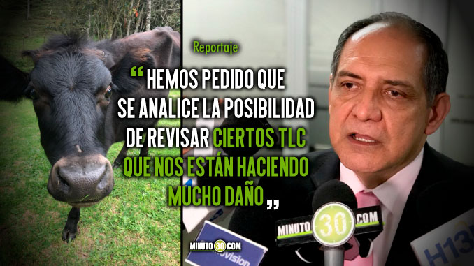 Leches subsidiadas que entran a Colombia estarían afectando a los productores locales