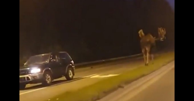 Captura tomada de Twitter: @newscomauHQ